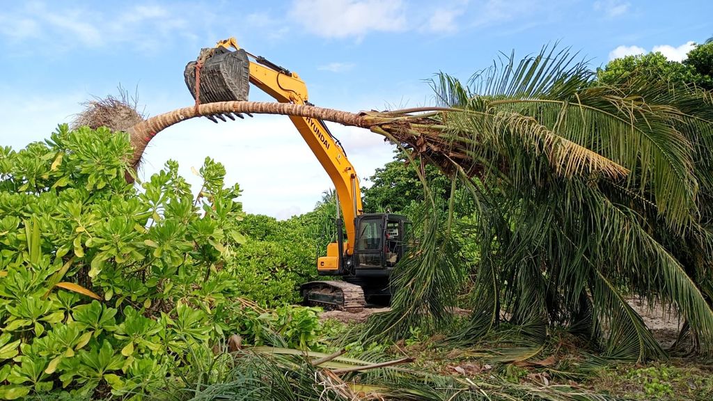 An excavator carefully lifting a mature coconut palm out of dense tropical greenery